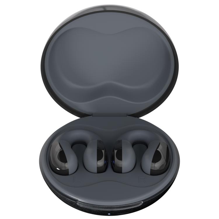 F13 Ear-Hook Noise Reduction 13mm Moving Coil HIFI BT 5.4 Wireless Earphones(Black) - TWS Earphone by buy2fix | Online Shopping UK | buy2fix