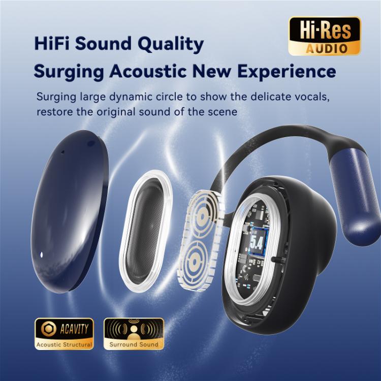 F20 Ear-Hook ANC Noise Reduction BT 5.4 IPX5 Wireless Earphones(Black) - TWS Earphone by buy2fix | Online Shopping UK | buy2fix