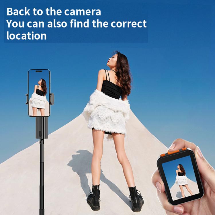 RK-X40H Mini Rear Selfie Screen Sync Sound Version(Black) - Others Accessories by buy2fix | Online Shopping UK | buy2fix