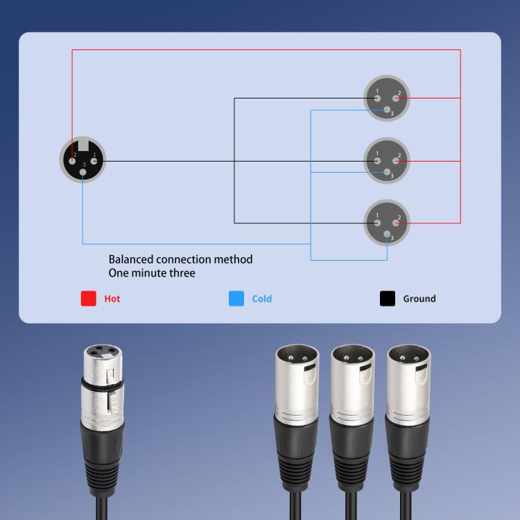 XLR Female to 3 XLR Male 3-Way Splitter Audio Cable, Length: 60cm - Microphone Audio Cable & Connector by buy2fix | Online Shopping UK | buy2fix