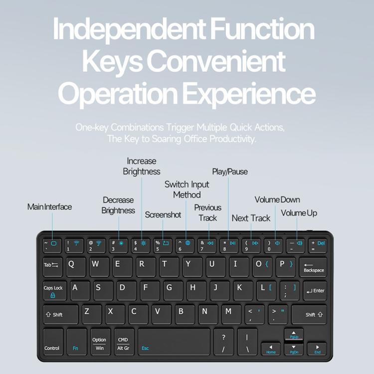 EDA008408101A_11.jpg@c356ebdbe101351f58f2290c81529e2a