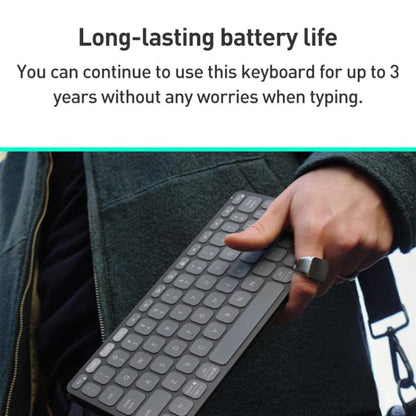 EDA0084580_B7.jpg@2a297483f56c08dfee40841ea370d49f