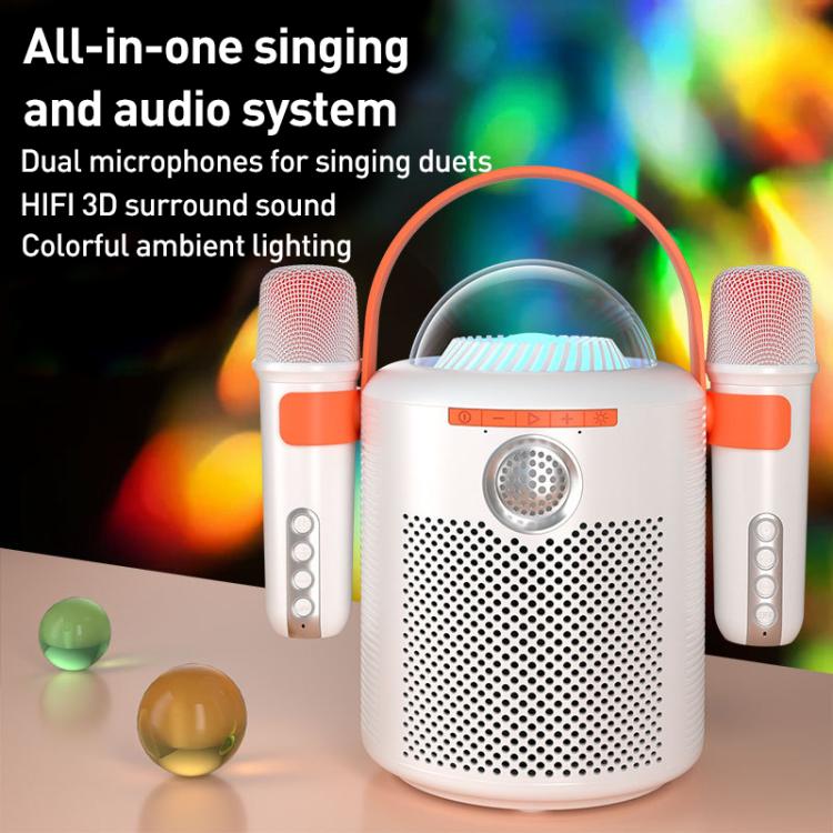 Lebo Y11 Outdoor Portable Wireless Karaoke Dual Microphone Bluetooth Speaker(Black) - Desktop Speaker by buy2fix | Online Shopping UK | buy2fix