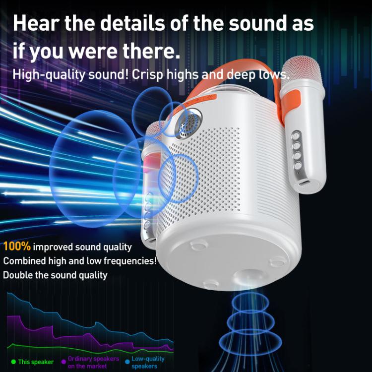 Lebo Y11 Outdoor Portable Wireless Karaoke Dual Microphone Bluetooth Speaker(Black) - Desktop Speaker by buy2fix | Online Shopping UK | buy2fix