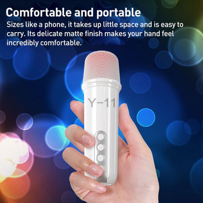 Lebo Y11 Outdoor Portable Wireless Karaoke Dual Microphone Bluetooth Speaker(Black) - Desktop Speaker by buy2fix | Online Shopping UK | buy2fix