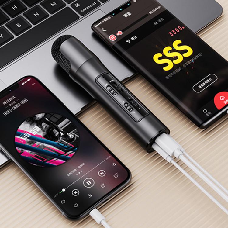 Lebo P1 Karaoke Microphone Audio Home Bluetooth Wireless Microphone(Red) - Microphone by buy2fix | Online Shopping UK | buy2fix