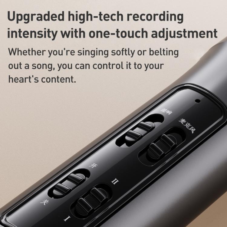 Lebo P1 Karaoke Microphone Audio Home Bluetooth Wireless Microphone(Black) - Microphone by buy2fix | Online Shopping UK | buy2fix