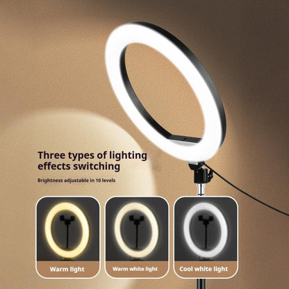 8 inch Striped Selfie Live Streaming Photography Lazy Stand LED Ring Fill Light Set(Black) - Ring Light by buy2fix | Online Shopping UK | buy2fix