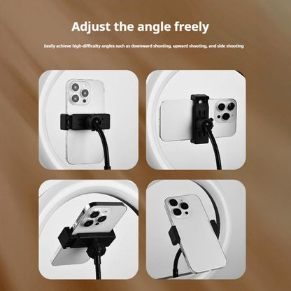 10 inch Striped Selfie Live Streaming Photography Lazy Stand LED Ring Fill Light Set(Black) - Ring Light by buy2fix | Online Shopping UK | buy2fix