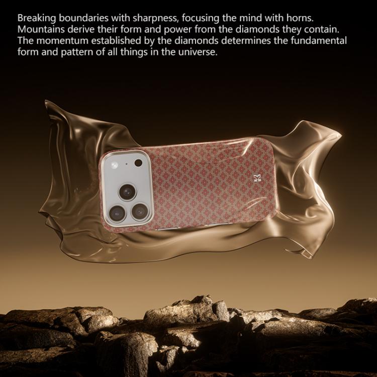 EDA008649701B_2.jpg@a1c50b8b91154592265b2d2b8d373466