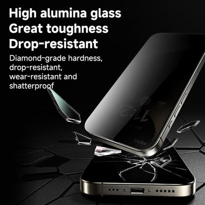 For iPhone 16 Pro REMAX Future Ultra-Soft Series WL-03 Privacy Tempered Glass Film - iPhone 16 Pro Tempered Glass by REMAX | Online Shopping UK | buy2fix