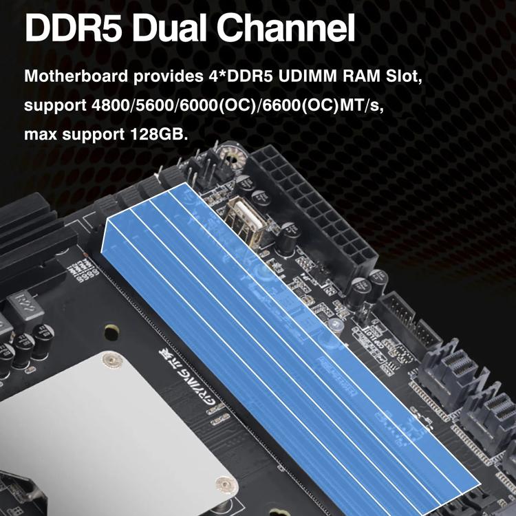 EDA0086947_5.jpg@bd0761ee6d7cf68b1cfbebda8dddf9d1