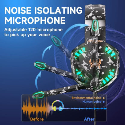 EDA008817001D_3.jpg@43830d1c79befc1d29097a904d60a905