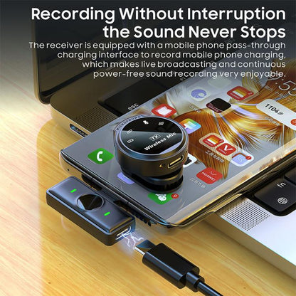 EDA0088593_B6.jpg@70bbd951d8c3b65b403906d3a978d386