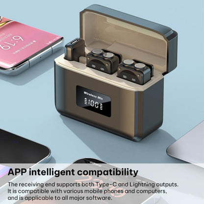 EDA008859801_13.jpg@30542f9f3dec23c303e512d3f9da6a07