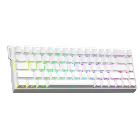 AULA WIN68HE Standard Version 68 Keys RGB Wired Keyboard(Side Printed White Grey Wood Magnetic Axis)