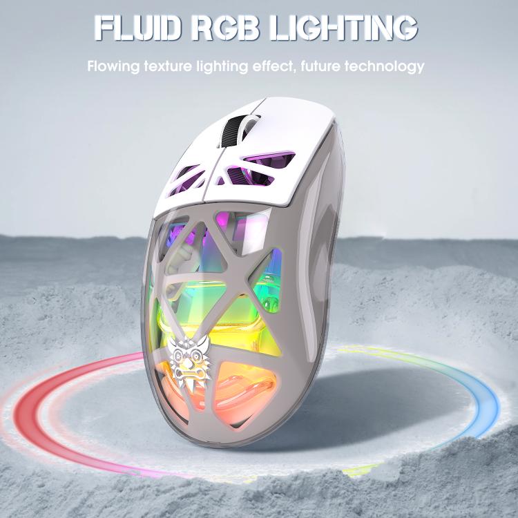 EDA008893301A_5.jpg@d79053e6c2557ce0785154301e3614d5