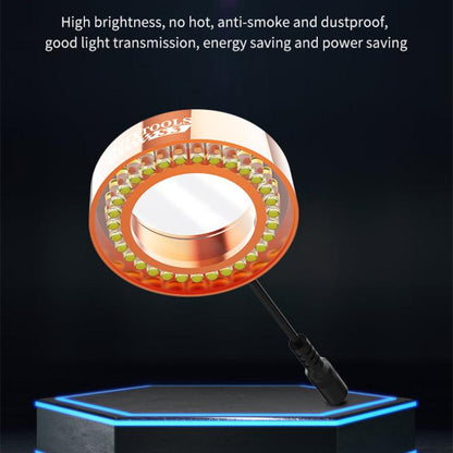 EDA0089610_2.jpg@a921f3a87f2d8f9a2f8e1b62ee50d17d