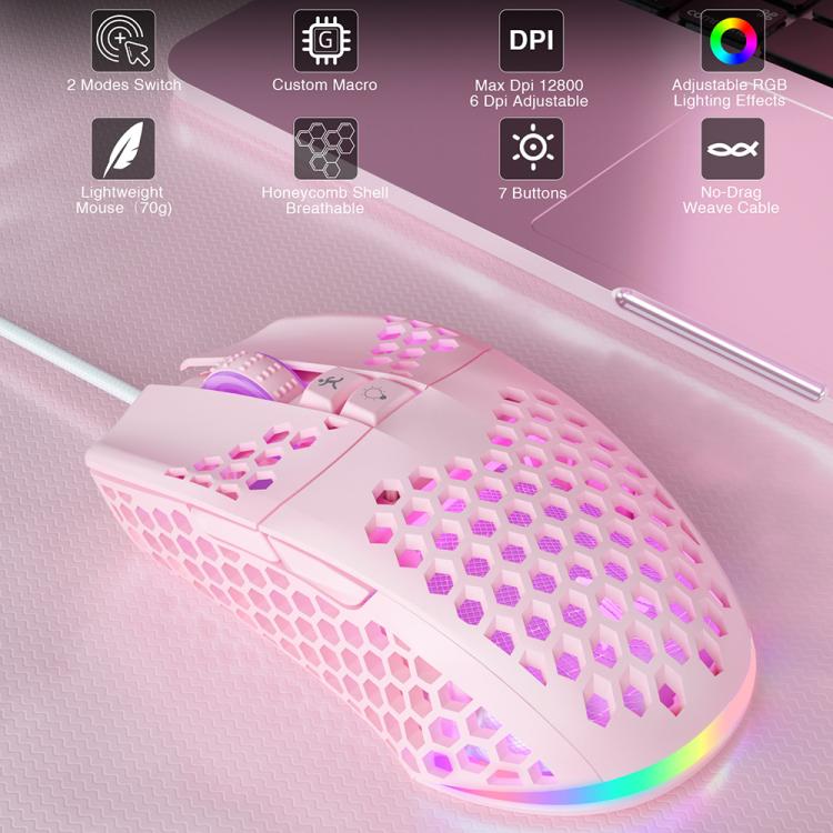 EDA008966901D_2.jpg@378632aacfb0bb8c1115f3628c1f95c7