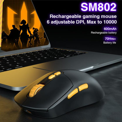 EDA008968201B_4.jpg@89c0e7db430b2dfa1593bd981936dabf