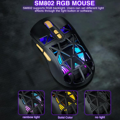 EDA008968201B_5.jpg@f279caae52f17d6db1b9e231257e95b3