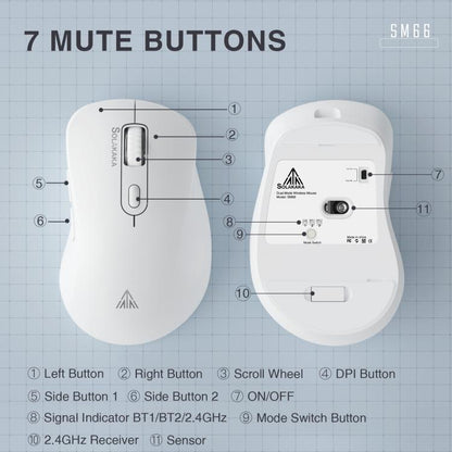 EDA008968601A_6.jpg@b23d03ee179c336fde3898ec55911cdf