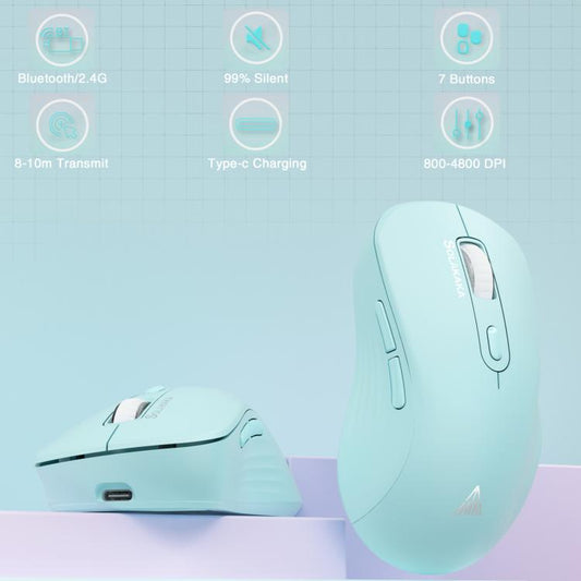 EDA008968601C_1.jpg@19b4a82f2b8f5b95b487e5a3c198bc9c