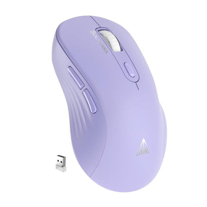 EDA008968601E.jpg@38a6c7e0b49c99c0f49a0cf66e4ddb0e