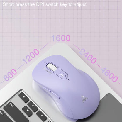 EDA008968601E_3.jpg@4adfb9e65c498e1be4cca8ac2b5f568f