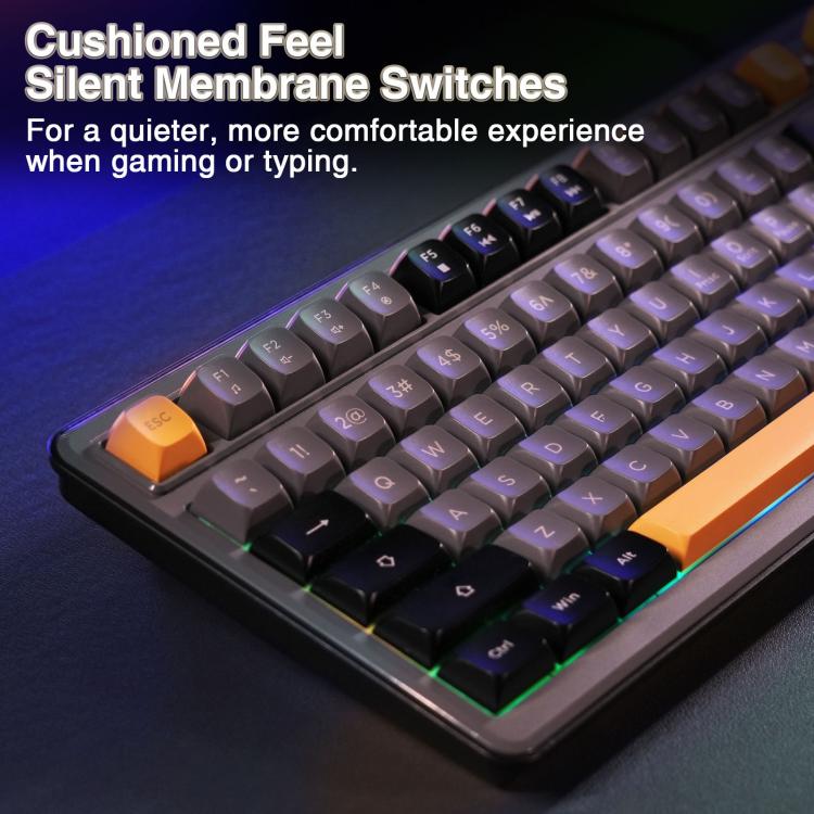 EDA008970701A_3.jpg@dd5511c09025c52f0d863c9e9a2ec582