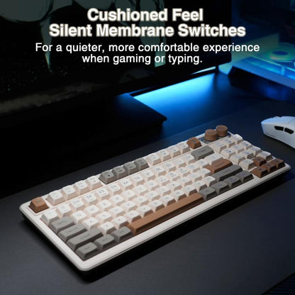 EDA008970701C_3.jpg@c005dcb7e1344bfd16333ecae68f9c65