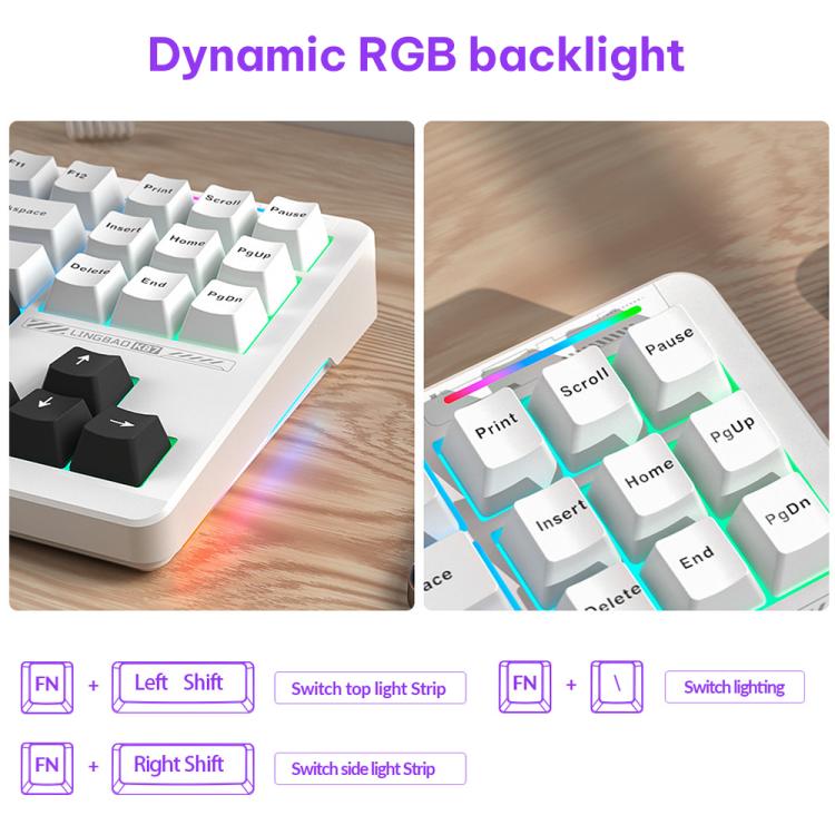 EDA008972302_4.jpg@7f2fe9297176abffb1cae913b52333d1