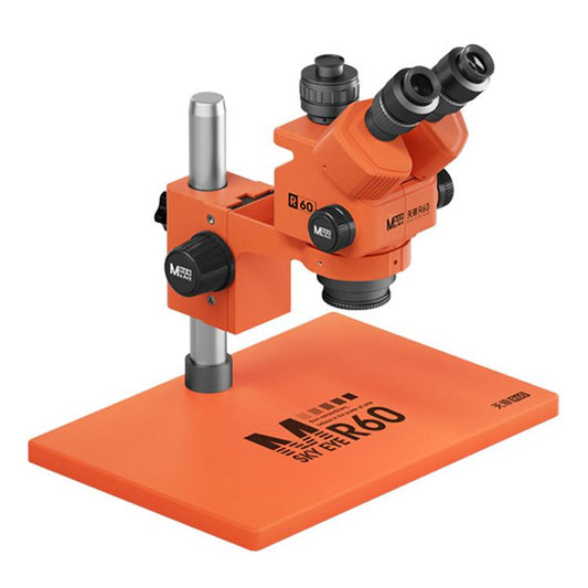 EDA008997601B.jpg@3f40281bcb46cb117784e93b3b143d87