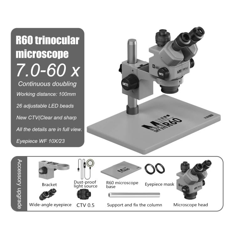 EDA008997601D_1.jpg@24d42952fe3e79ae50315176e0985e1e