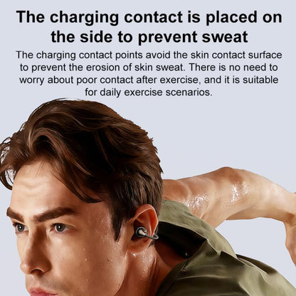 EDA0091812_B7.jpg@22c0b616e243bca5d4b98a10e1cfacaa