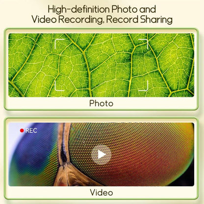 EDA009544801A_5.jpg@2cb3d2fa1f560d6122347af9917c7d9e