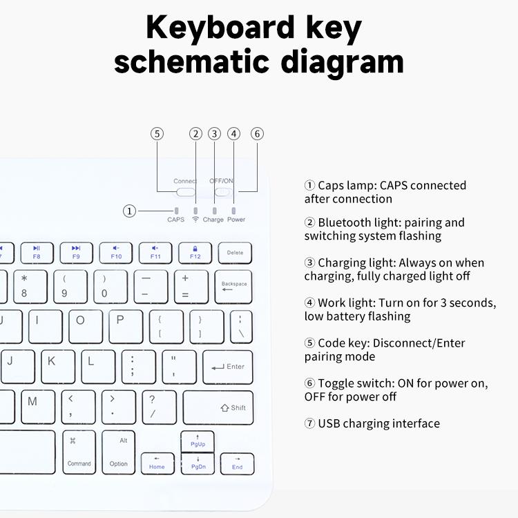 EDA0099966_B9.jpg@f5d116b0e6636b9f6e1766d0da2b8556
