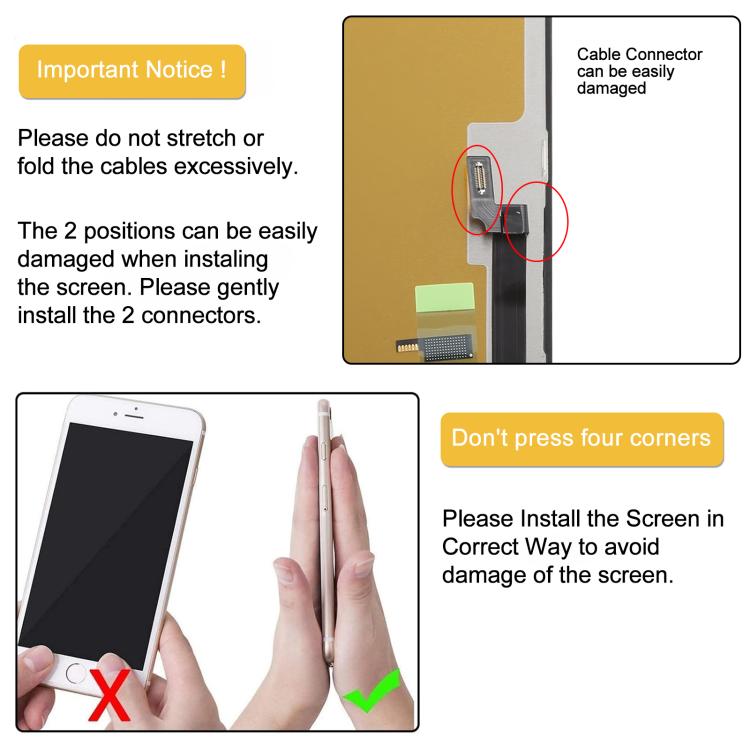 IP6P0246_10.jpg@52c0f5c3b763e66eea60961f9893ea0a