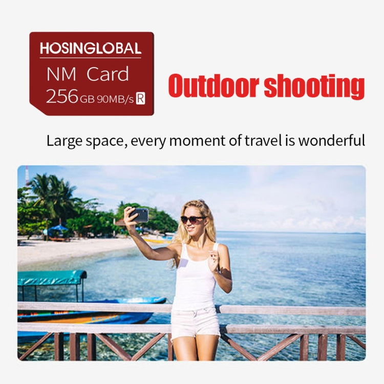 HOSINGLOBAL 90MB/s 256GB NM Card - Micro SD Card by buy2fix | Online Shopping UK | buy2fix