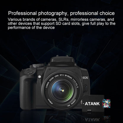 MC5488_6.jpg@1cd0a1a400c179c9ff03eb3dba4e5b8a