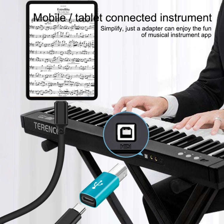Type-C Female to MIDI Male Universal Adapter for Electronic Musical Instruments(Black) - Keyboard Accessories by buy2fix | Online Shopping UK | buy2fix
