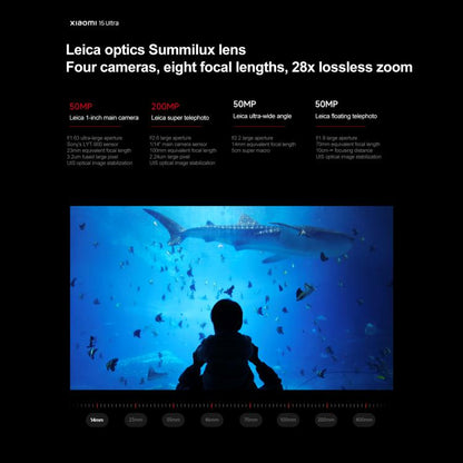 MPH2833_B7.jpg@edc43397ce5b7f64cf33cc292a3d6383