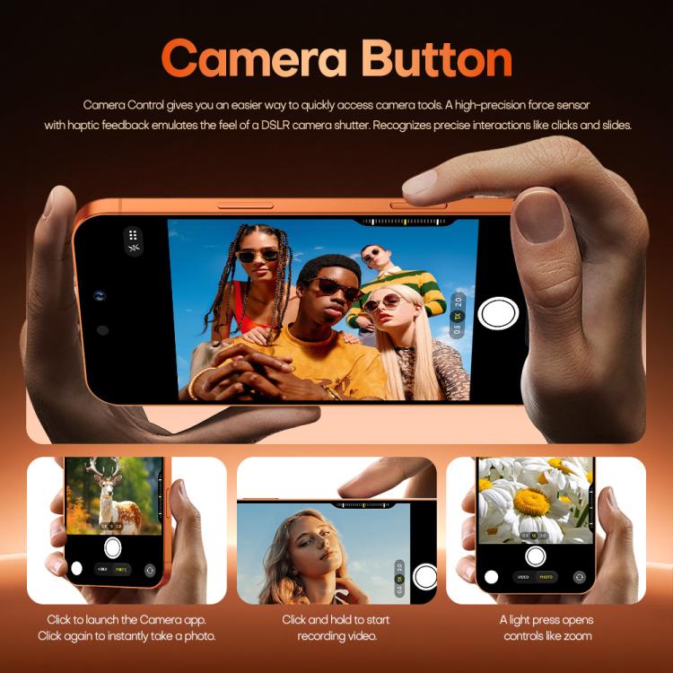 MPH4491_B8.jpg@17befe21210a9c59d805b1efa3550396