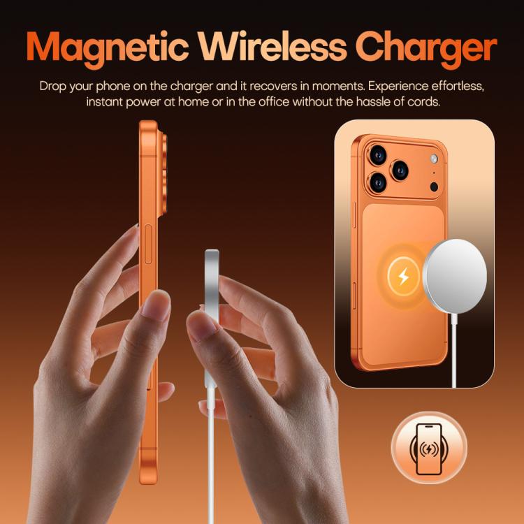 MPH4492_B12.jpg@9aa9185a48798475b5a6bfbe37f355a1