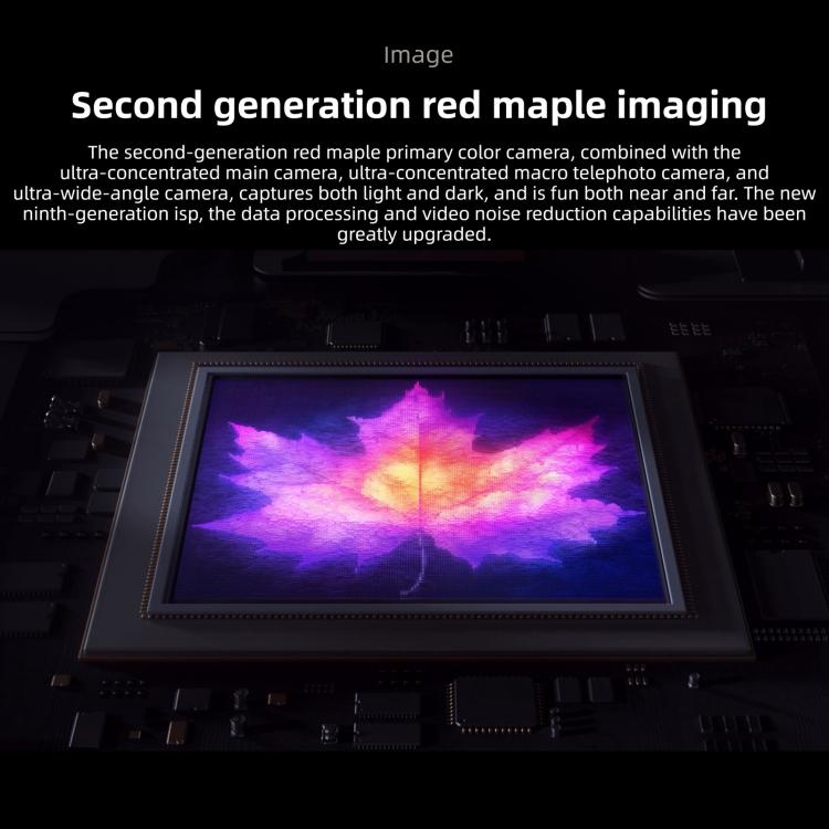 MPH4568_B10.jpg@bc03e0509810a446b1de523438c7dddb
