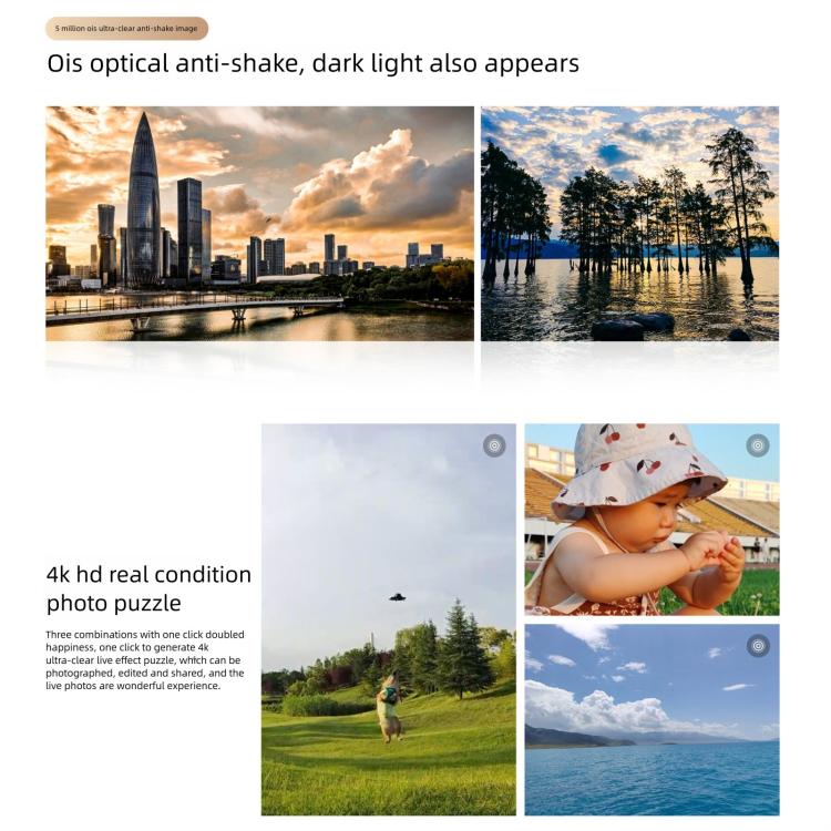 MPH5431_B10.jpg@7022fbce4688de17a153f049e2f0ce01