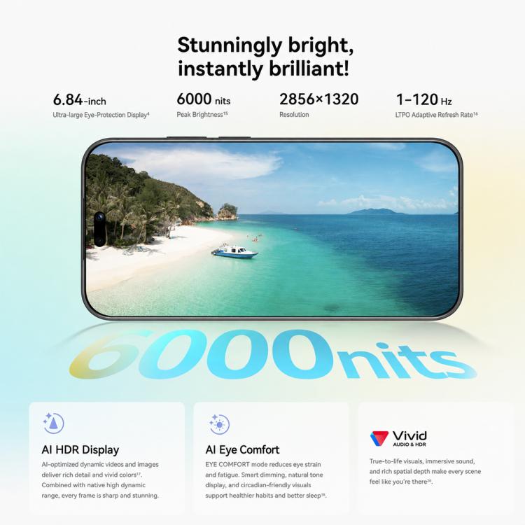 MPH7833_B13.jpg@96c68d4e41cd5a22daf34a6ee3b1e68d