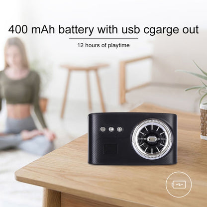 LN-21 DC 5V Portable Wireless Speaker with Hands-free Calling, Support USB & TF Card (Black) - Desktop Speaker by buy2fix | Online Shopping UK | buy2fix