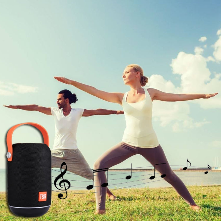 T&G TG107 Portable Wireless Bluetooth V4.2 Stereo Speaker with Handle, Built-in MIC, Support Hands-free Calls & TF Card & AUX IN & FM, Bluetooth Distance: 10m - Desktop Speaker by T&G | Online Shopping UK | buy2fix