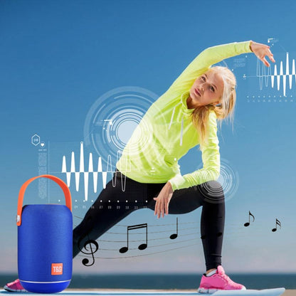 T&G TG107 Portable Wireless Bluetooth V4.2 Stereo Speaker with Handle, Built-in MIC, Support Hands-free Calls & TF Card & AUX IN & FM, Bluetooth Distance: 10m - Desktop Speaker by T&G | Online Shopping UK | buy2fix